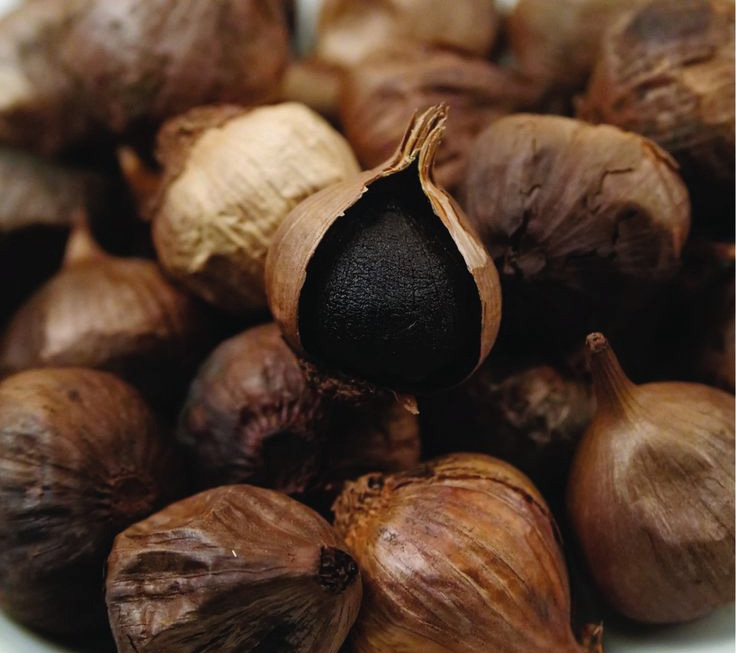 Cabezas de ajo en maduración