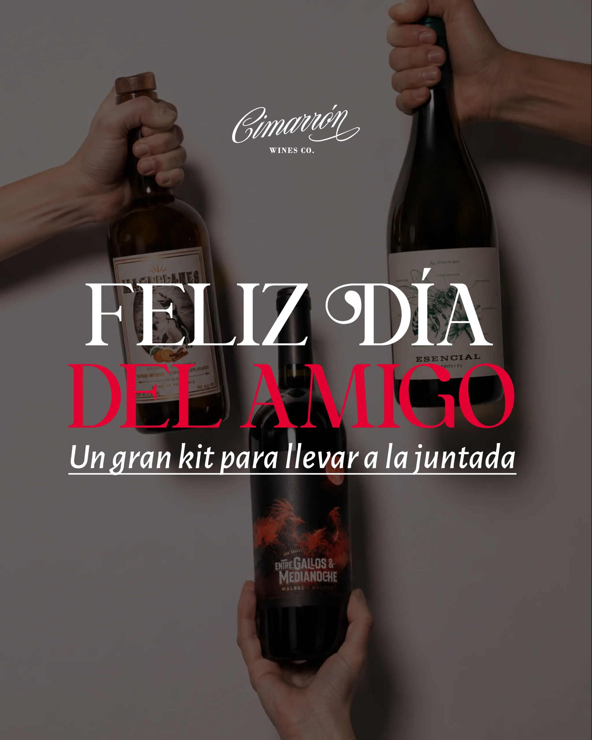 Estuche x3 Especial - Amigos Cimarrones - Imagen 2